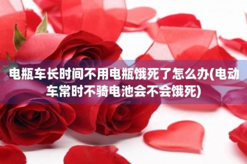 电瓶车长时间不用电瓶饿死了怎么办(电动车常时不骑电池会不会饿死)