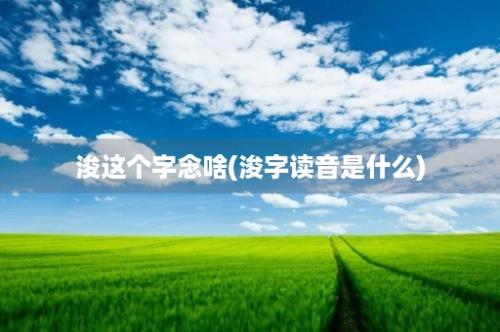 浚这个字念啥(浚字读音是什么)