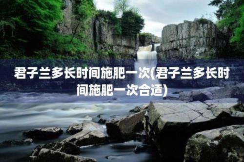 君子兰多长时间施肥一次(君子兰多长时间施肥一次合适)