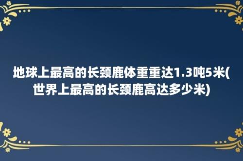 地球上最高的长颈鹿体重重达1.3吨5米(世界上最高的长颈鹿高达多少米)