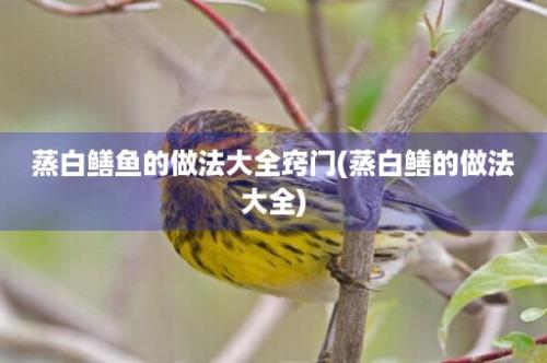 蒸白鳝鱼的做法大全窍门(蒸白鳝的做法大全)