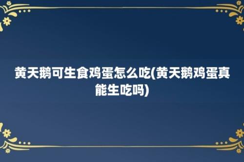 黄天鹅可生食鸡蛋怎么吃(黄天鹅鸡蛋真能生吃吗)