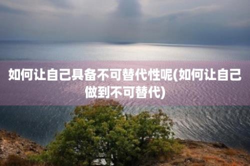 如何让自己具备不可替代性呢(如何让自己做到不可替代)