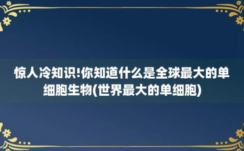 惊人冷知识!你知道什么是全球最大的单细胞生物(世界最大的单细胞)