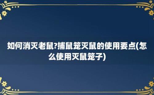 如何消灭老鼠?捕鼠笼灭鼠的使用要点(怎么使用灭鼠笼子)