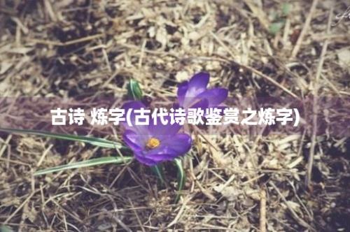 古诗 炼字(古代诗歌鉴赏之炼字)