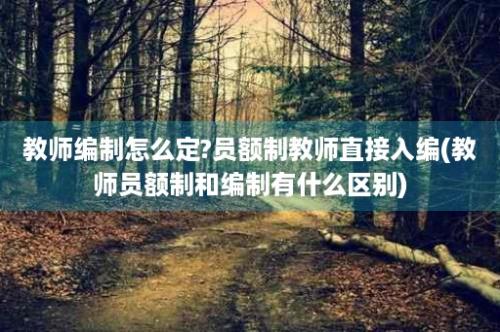 教师编制怎么定?员额制教师直接入编(教师员额制和编制有什么区别)