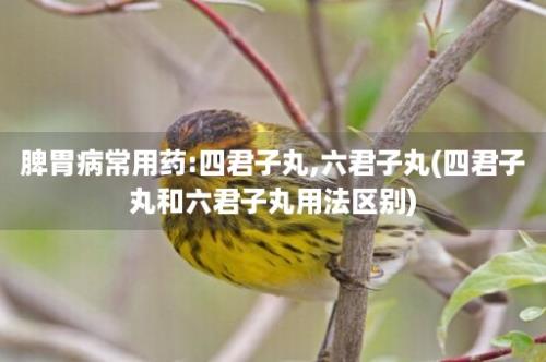 脾胃病常用药:四君子丸,六君子丸(四君子丸和六君子丸用法区别)