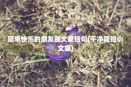 简单快乐的朋友圈文案短句(干净简短小文案)