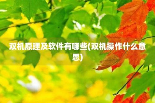 双机原理及软件有哪些(双机操作什么意思)