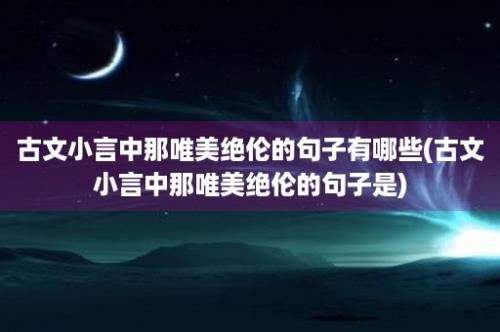 古文小言中那唯美绝伦的句子有哪些(古文小言中那唯美绝伦的句子是)