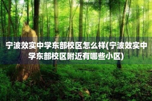 宁波效实中学东部校区怎么样(宁波效实中学东部校区附近有哪些小区)