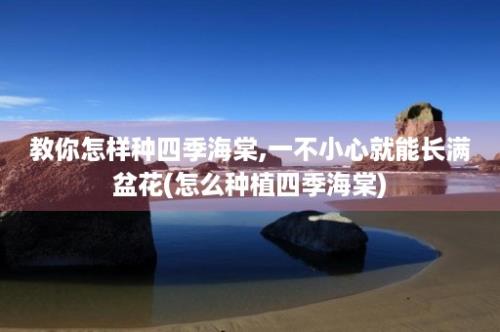 教你怎样种四季海棠,一不小心就能长满盆花(怎么种植四季海棠)