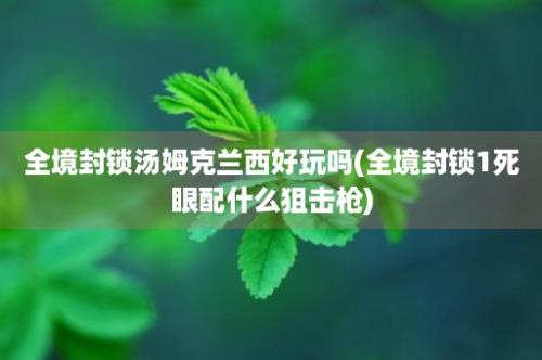 全境封锁汤姆克兰西好玩吗(全境封锁1死眼配什么狙击枪)