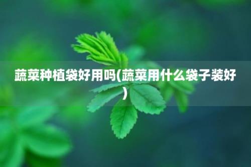 蔬菜种植袋好用吗(蔬菜用什么袋子装好)