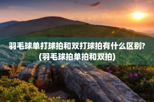 羽毛球单打球拍和双打球拍有什么区别?(羽毛球拍单拍和双拍)