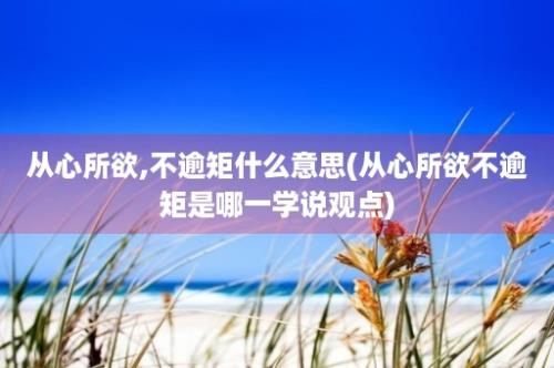 从心所欲,不逾矩什么意思(从心所欲不逾矩是哪一学说观点)