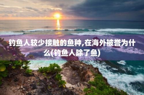 钓鱼人较少接触的鱼种,在海外被誉为什么(钓鱼人除了鱼)