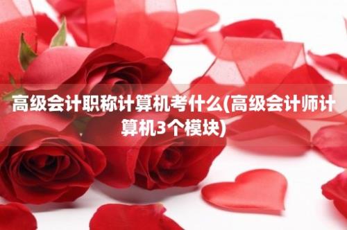 高级会计职称计算机考什么(高级会计师计算机3个模块)