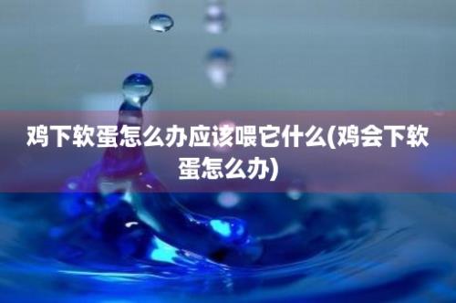 鸡下软蛋怎么办应该喂它什么(鸡会下软蛋怎么办)