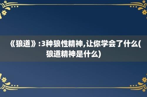 《狼道》:3种狼性精神,让你学会了什么(狼道精神是什么)