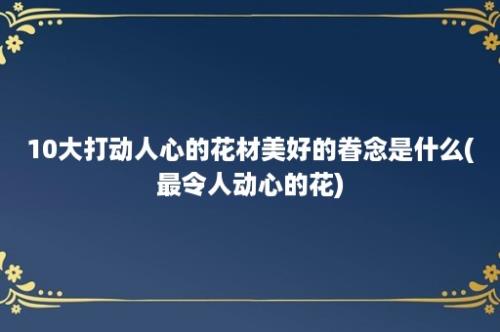 10大打动人心的花材美好的眷念是什么(最令人动心的花)