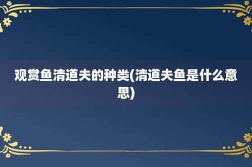 观赏鱼清道夫的种类(清道夫鱼是什么意思)