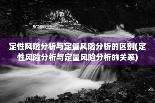 定性风险分析与定量风险分析的区别(定性风险分析与定量风险分析的关系)