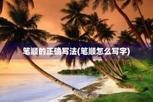 笔顺的正确写法(笔顺怎么写字)