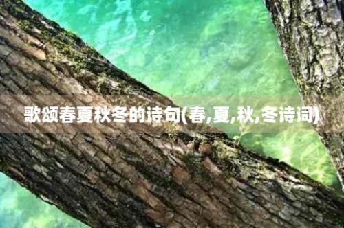 歌颂春夏秋冬的诗句(春,夏,秋,冬诗词)