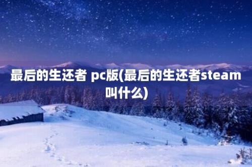 最后的生还者 pc版(最后的生还者steam叫什么)