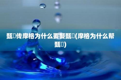 甄嬛传摩格为什么要娶甄嬛(摩格为什么帮甄嬛)