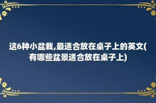 这6种小盆栽,最适合放在桌子上的英文(有哪些盆景适合放在桌子上)