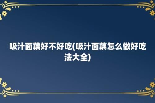 吸汁面藕好不好吃(吸汁面藕怎么做好吃法大全)