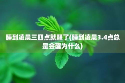 睡到凌晨三四点就醒了(睡到凌晨3.4点总是会醒为什么)