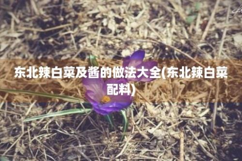 东北辣白菜及酱的做法大全(东北辣白菜配料)