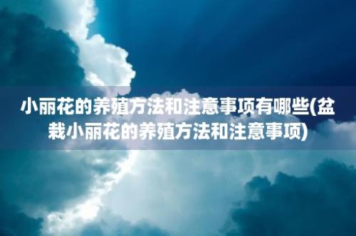 小丽花的养殖方法和注意事项有哪些(盆栽小丽花的养殖方法和注意事项)