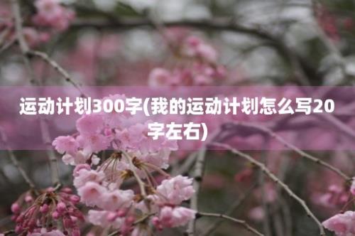 运动计划300字(我的运动计划怎么写20字左右)