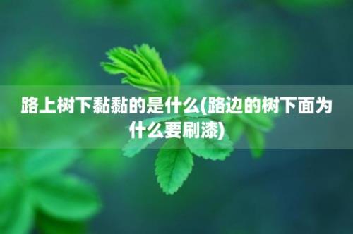 路上树下黏黏的是什么(路边的树下面为什么要刷漆)