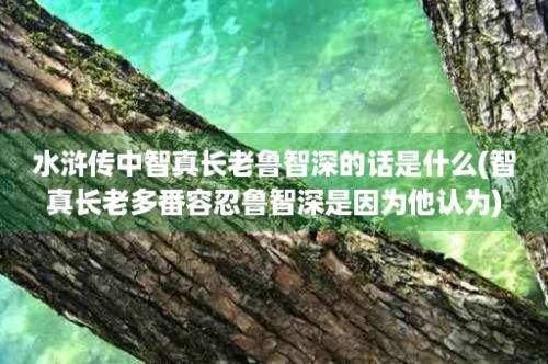 水浒传中智真长老鲁智深的话是什么(智真长老多番容忍鲁智深是因为他认为)