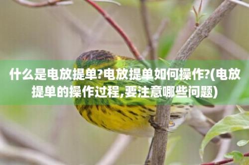 什么是电放提单?电放提单如何操作?(电放提单的操作过程,要注意哪些问题)