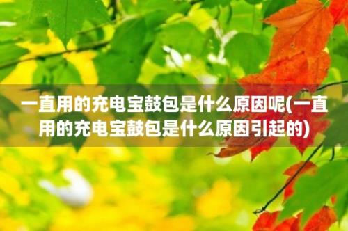 一直用的充电宝鼓包是什么原因呢(一直用的充电宝鼓包是什么原因引起的)