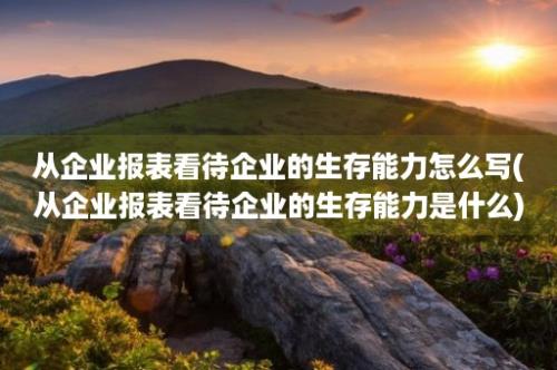 从企业报表看待企业的生存能力怎么写(从企业报表看待企业的生存能力是什么)