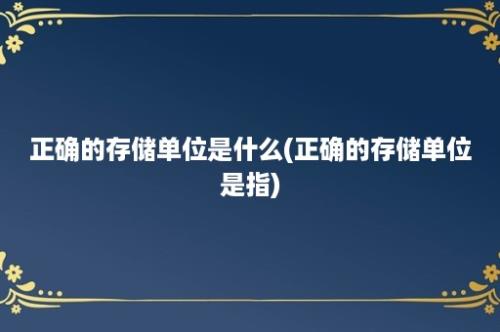 正确的存储单位是什么(正确的存储单位是指)