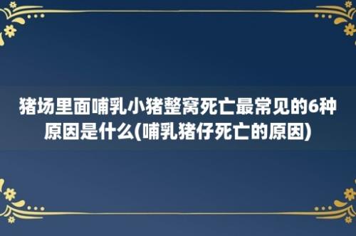 猪场里面哺乳小猪整窝死亡最常见的6种原因是什么(哺乳猪仔死亡的原因)