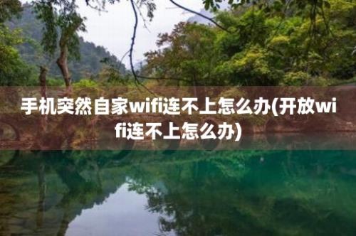 手机突然自家wifi连不上怎么办(开放wifi连不上怎么办)