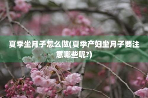 夏季坐月子怎么做(夏季产妇坐月子要注意哪些呢?)