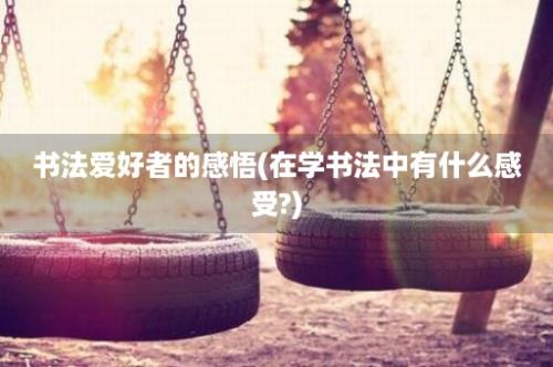 书法爱好者的感悟(在学书法中有什么感受?)