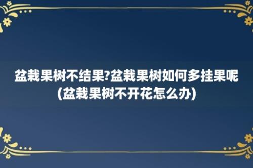 盆栽果树不结果?盆栽果树如何多挂果呢(盆栽果树不开花怎么办)