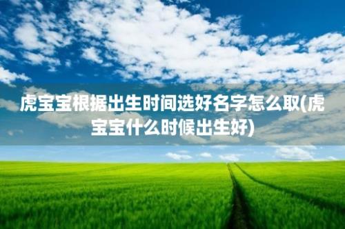 虎宝宝根据出生时间选好名字怎么取(虎宝宝什么时候出生好)